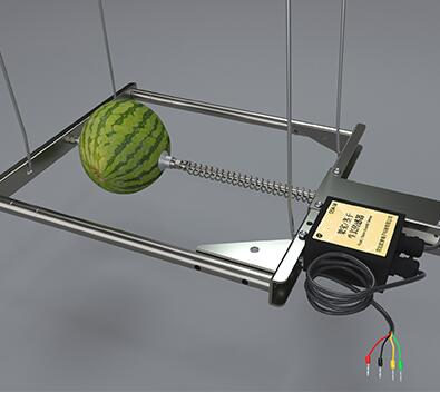树干生长传感器、西瓜生长传感器